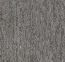 Линолеум Tarkett iq Optima BEIGE GREY 0874 фото 1 | FLOORDEALER